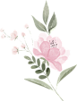 手绘花朵边框素材-花卉