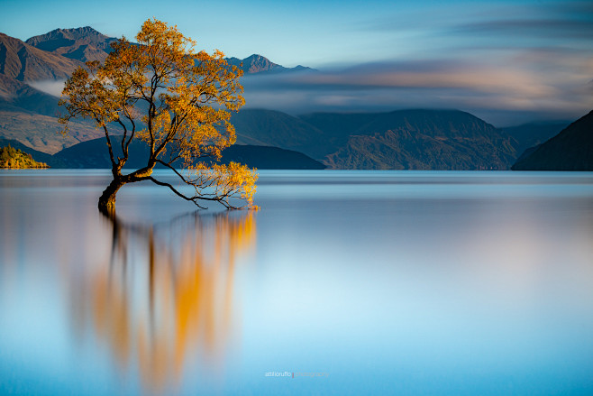 Wanaka 3186 by Attil...