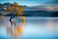 Wanaka 3186 by Attilio Ruffo : 1x.com is the world's biggest curated photo gallery online. Each photo is selected by professional curators. Wanaka 3186 by Attilio Ruffo__图  _急急如率令-B39541836B- -P2439064683P- _T2019513  _大美图采下来_T2019513 #率叶插件，让花瓣网更好用_http:/