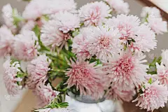 在乡村房间里，美丽的秋花封闭在现代花瓶里。粉红色紫菀花在阳光下靠近。乡村家庭的秋季假期插花。壁纸