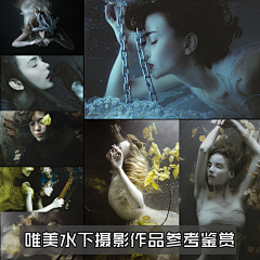 大宝藏采集到摄影作品