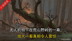 松lansong采集到微恐剧情