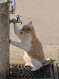 Just getting a drink