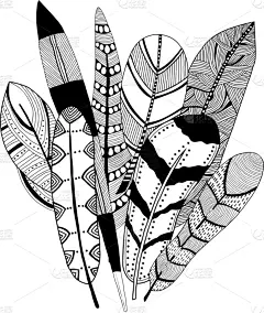 华丽的,黑白图片,羽毛,野生动物,壁纸,翅膀,现代,自然美,动物,复古