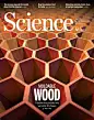 Science十年震撼封面精选 : 【引语】本文梳理了过去将近十年的时间里 Science杂志的封面图片，遴选与材料相关的封面报道，以期总结十 ...