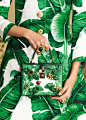 杜嘉班纳Dolce&Gabbana 2016早秋芭蕉树叶图案包鞋画册