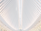 OCULUS, NEW YORK : Oculus, New York CITY 