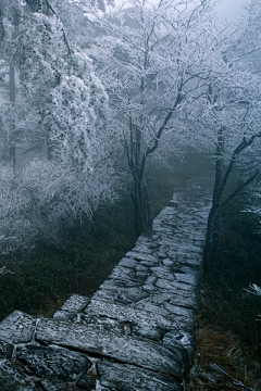 OneMr振采集到风景