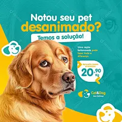 猫咪饮水机｜亚马逊宠物产品拍摄主副图设计-花瓣网