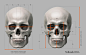 gusztav-velicsek-001-units-and-divisions-of-the-skull-for-sculpting-and-drawing