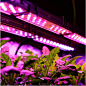 Lights