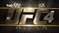 国外GUI游戏设计《UFC 4》gameui