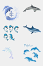 海洋动物海豚免抠元素