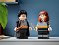 哈利·波特与赫敏·格兰杰 76393 | 哈利·波特魔 | LEGO.com CN 