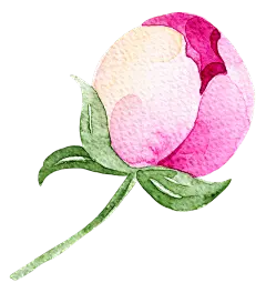 花朵素材 【加入会员下载高清大图+源文件】
