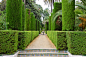 Picture of extensive topiary garden and walkway of manicured hedge topped with topiary pillars