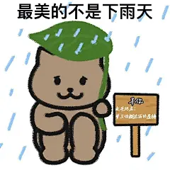 杰伦歌词猫猫表情包表情包无水印​​​