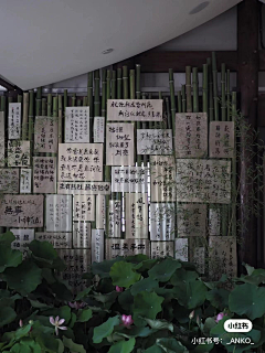 小茹呀1采集到新中式