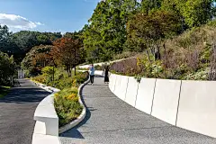 布鲁克林植物园 (20)