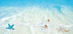 飞天胖虎采集到【海报banner】文艺/清新/简约