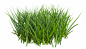 shutterstock_583698091_thumbnail