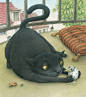 The story of a seagull and the cat : Illustrations for children's book