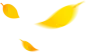leaf.png (439×267)