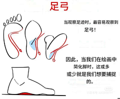 Pprrprr采集到人体-手脚
