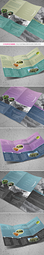 Tri-fold Brochure PSD Template : A print-ready trifold brochure template with 3 color scheme options and buying info included