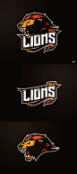 This may contain: the lions logo is shown in three different colors, including orange and red on black
