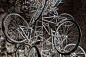 当代艺术家艾未未Stacked 760台单车装置艺术展