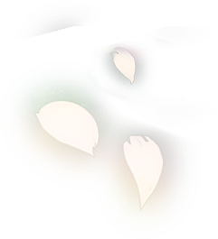 flower03.png (241×26...
