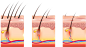 图层 0