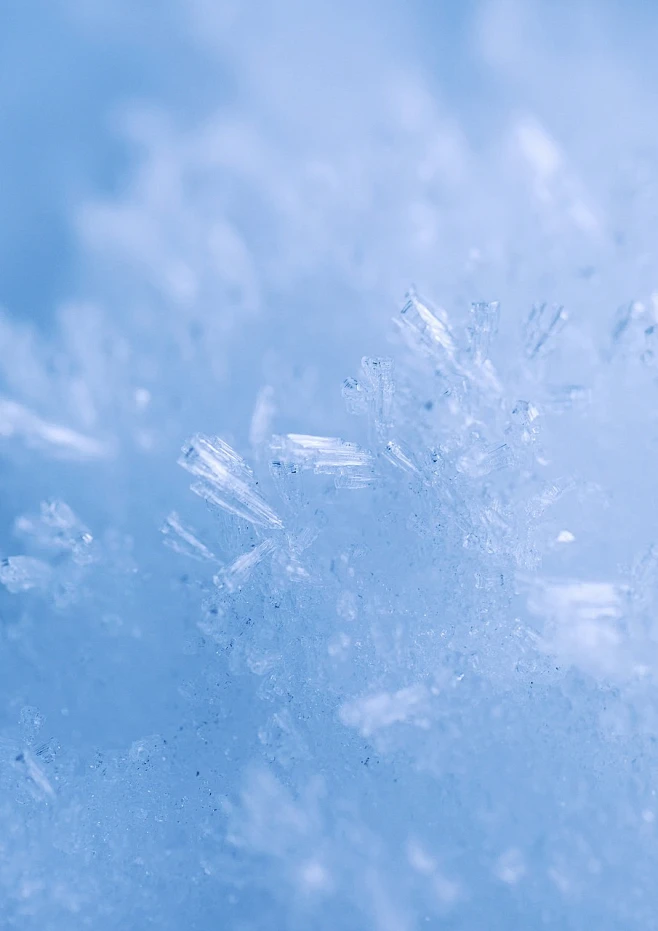 雪花, 霜, 冬天, 冰, 雪, 冰晶体, 冻结, 特写-花瓣网