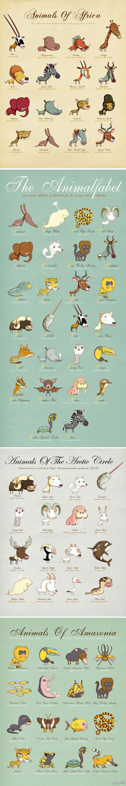 世界各地的特色动物卡通形象小插画，一个个...