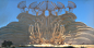 Khedemar - Entrance, Finnian MacManus : The entrance to Khedemar, the ethereal frontier.  Visual development sketches for the landscape, color tone and palette, and initial plant designs. Created with C4D, gravity sketch and photoshop.