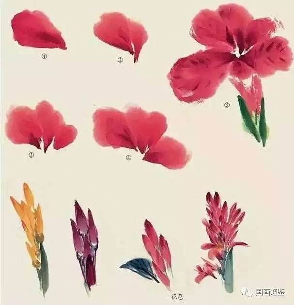 国画教程：水仙、玉兰、芍药等8种花卉写意...