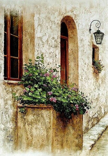 花窗、花窗、美图美画、Alireza S...