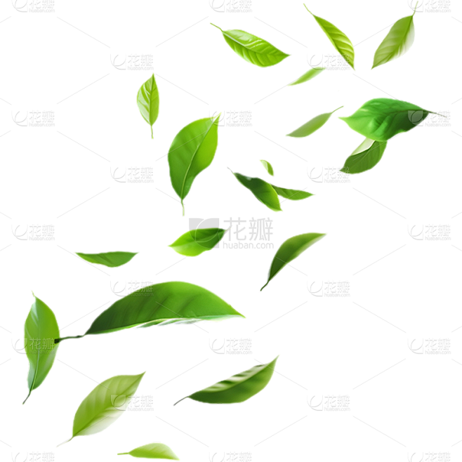 植物通用实景绿色动态落叶元素素材