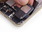 探索机身内部 金色版iPhone 5s拆解图