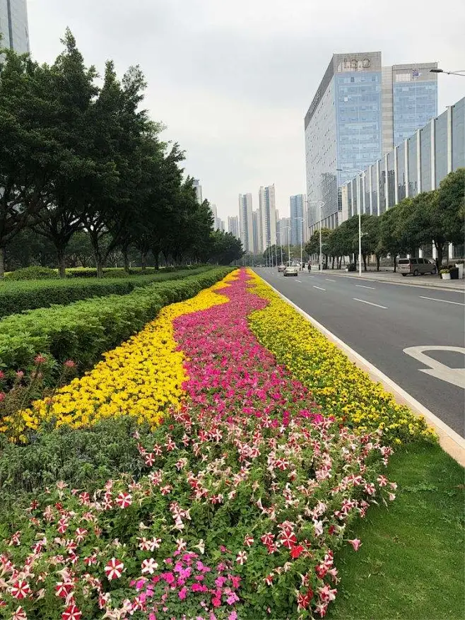 市政花带_百度图片搜索-花瓣网