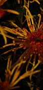 53db7999gy1h7yxcjwc1tj20rs1mcqb2.jpg (1000×2100)