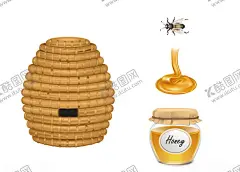 蜜蜂 【酷图网】蜜蜂,蜂蜜,昆虫,手绘,插画,Ai矢量,图片素材