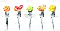 柑橘类的集合。橘子，橘子，橘子，葡萄柚，柠檬，酸橙。饮食观念与健康饮食。手绘水彩插图孤立的白色背景