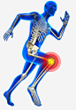 人体膝盖骨头高清素材 png 设计图片 免费下载 页面网页 平面电商 创意素材 png素材