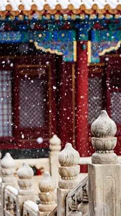 故宫雪景，美得这么安静！
