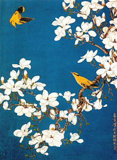 flora_o0o00oo采集到插画