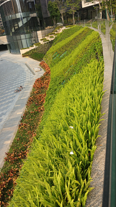 花绽采集到D-道路边坡护坡、盘山道