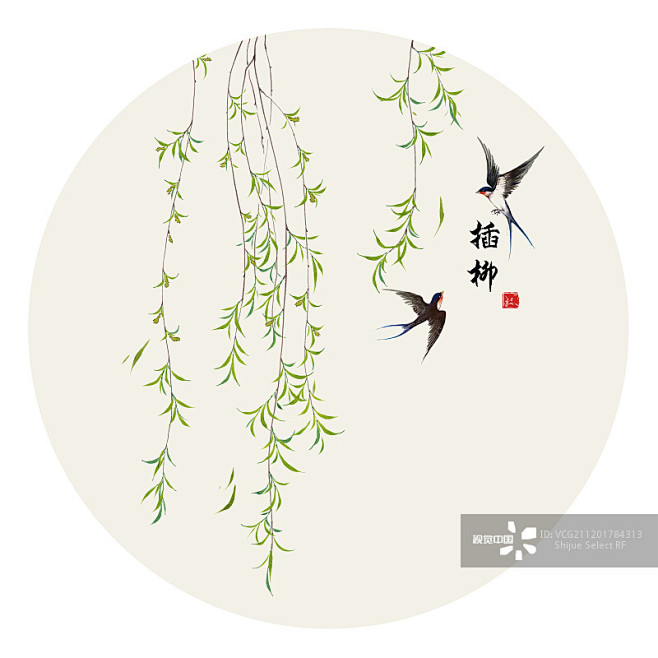 清明节,插柳,传统庆典,柳树,春天图片素材_4217776803