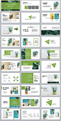 31+ Best green fruit Design PowerPoint templates